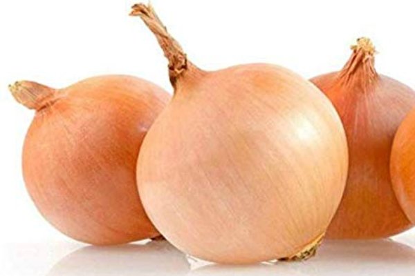 Black sprut onion link